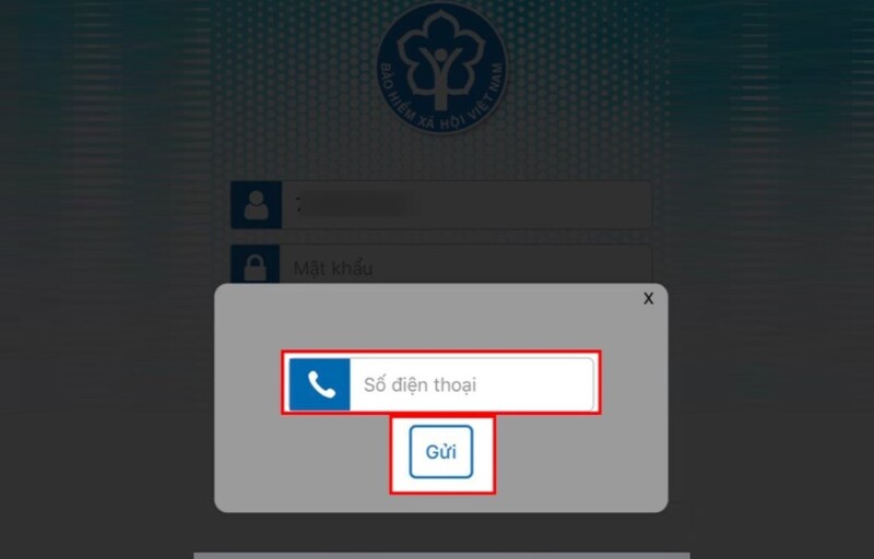 cách lấy lại mật khẩu VssID