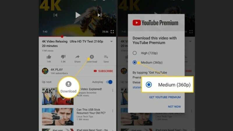 20+ Cách tải video trên YouTube nhanh chóng & tiện lợi nhất 2024