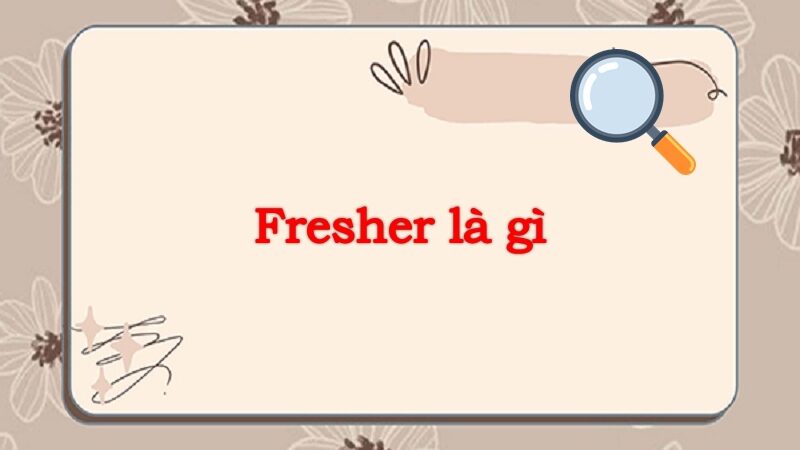 Fresher là gì? Tất tần tật mọi thông tin về Fresher
