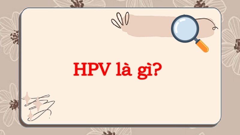 HPV là gì? Nguyên nhân và cách phòng ngừa virus HPV