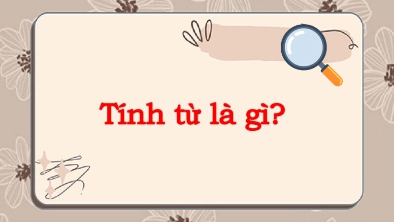 Tính từ là gì? Phân loại và chức năng của tính từ