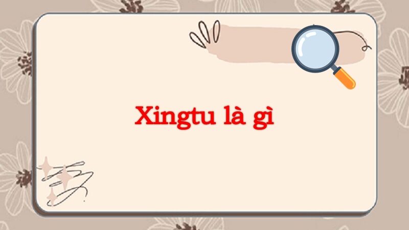 Xingtu là gì? Cách dùng Xingtu chỉnh ảnh đơn giản