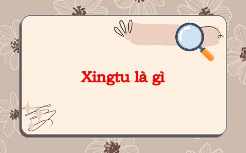 Xingtu là gì? Cách dùng Xingtu chỉnh ảnh đơn giản
