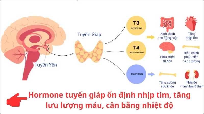 bệnh tuyến giáp là gì