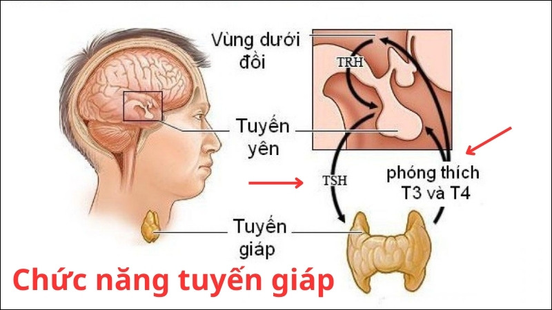 bệnh tuyến giáp