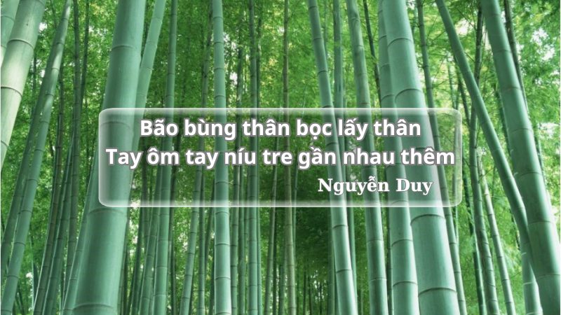 biện pháp tu từ nhân hoá 