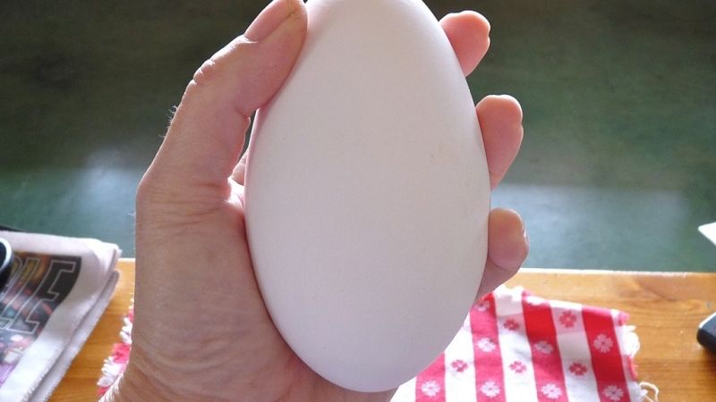 Chia sẻ cách luộc trứng ngỗng lòng đào béo ngậy