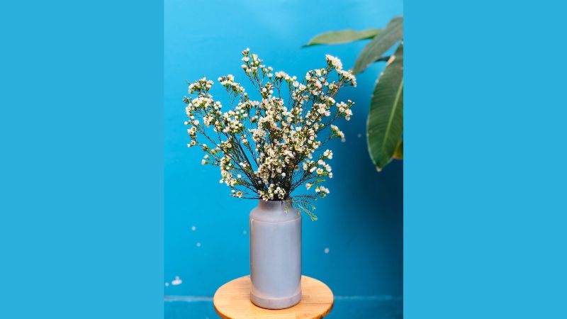 chuẩn bị cắm hoa thanh liễu