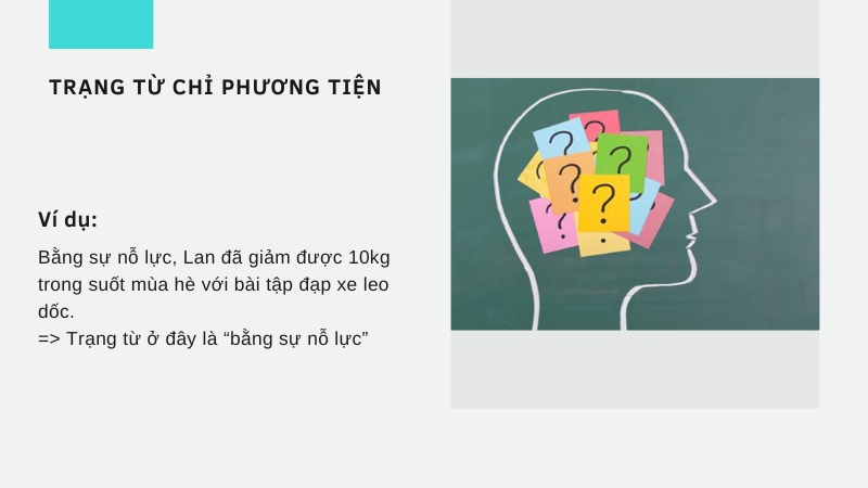 chức năng của trạng từ là gì