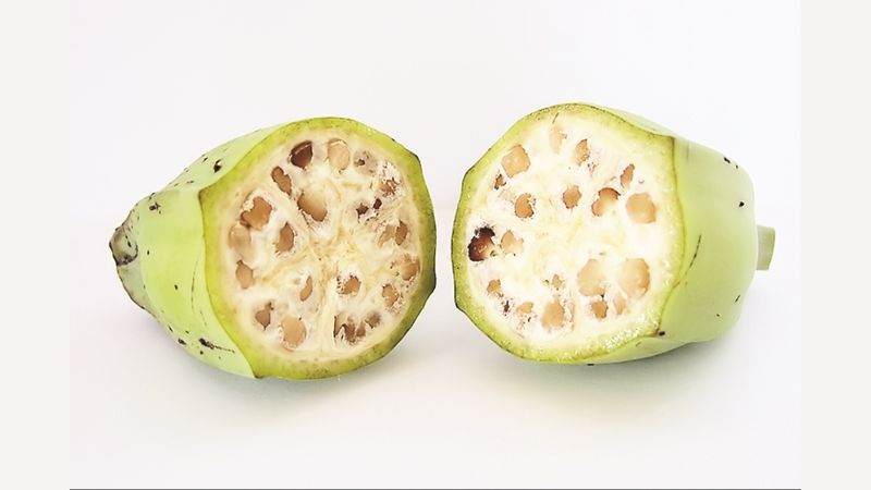chuối hột trị sỏi thận