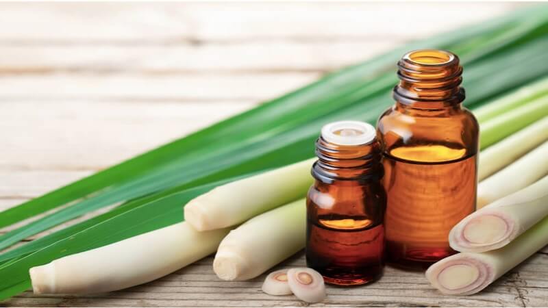 Công dụng của tinh dầu sả