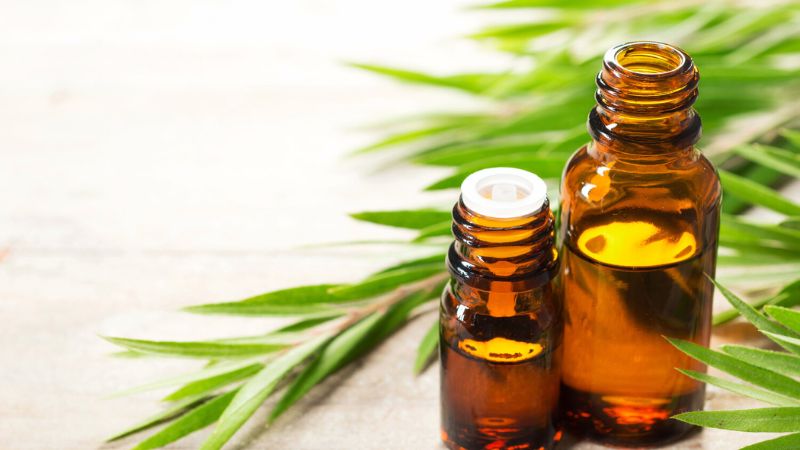 dầu tràm trị viêm nang lông
