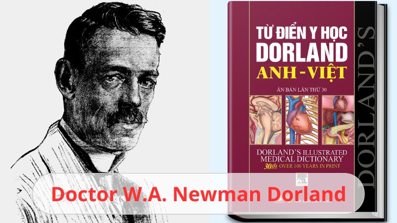 dị tính luyến ái