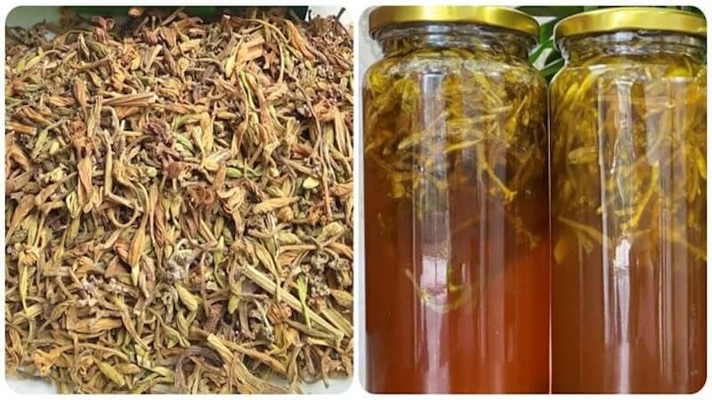 Hoa đu đủ đực ngâm mật ong