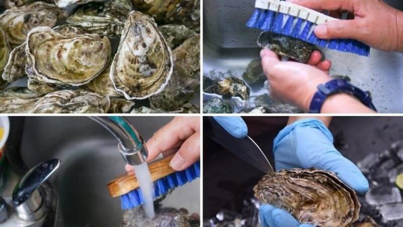 hướng dẫn cách sơ chế hàu sạch sẽ