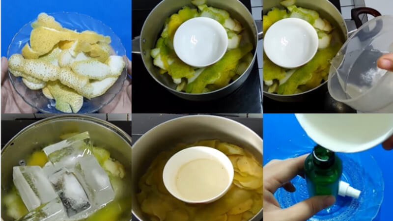 làm tinh dầu bưởi từ vỏ bưởi tươi