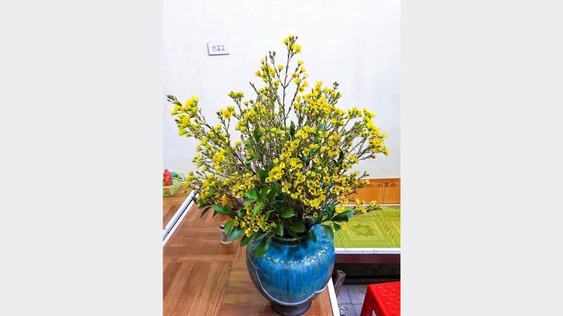 mẹo giúp thanh liễu tươi lâu