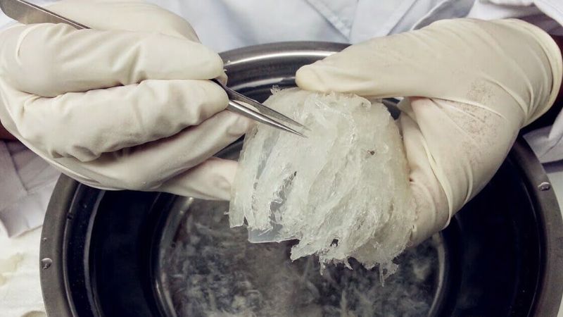 Mẹo sơ chế yến sạch 100%