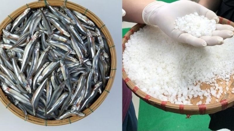 Nguyên liệu cần thiết để làm mắm nêm