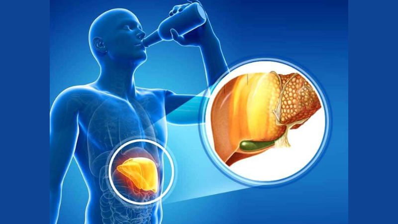 nguyên nhân gây gan nhiễm mỡ