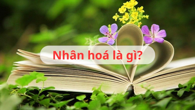 Biện pháp nhân hóa là gì? Công dụng và cách dùng hiệu quả nhất