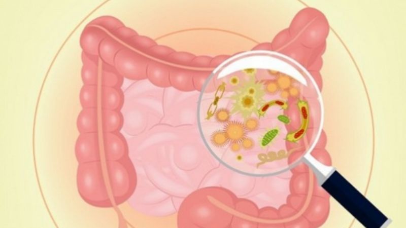 nhiễm trùng ruột gây đau bụng