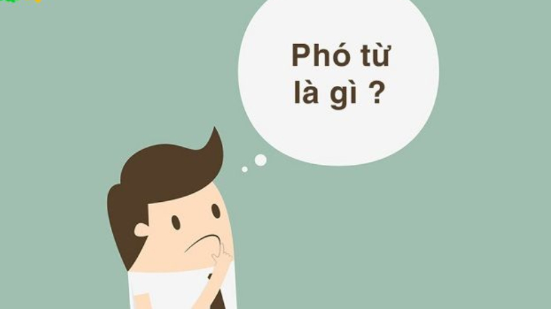phó từ là gì