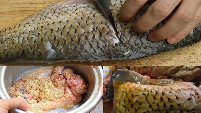Sơ chế cá chép