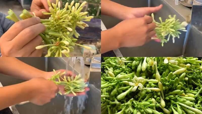 Sơ chế hoa đu đủ đực