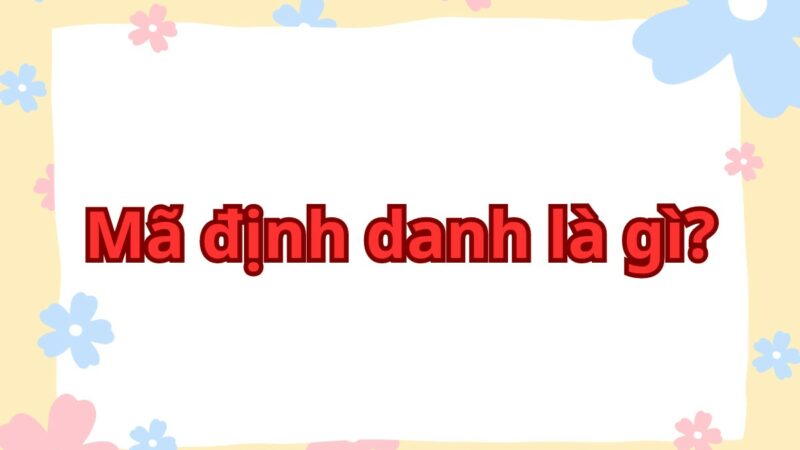 Mã định danh là gì? Vì sao phải làm đinh danh cá nhân?