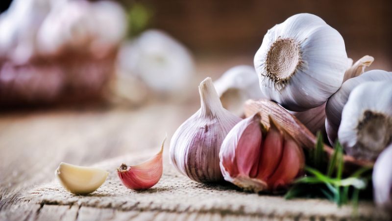 tỏi trị hắc lào