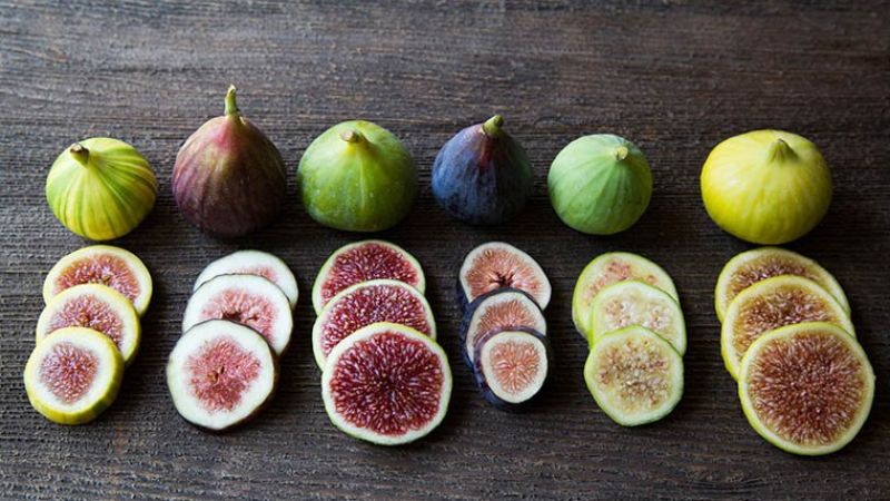 trị sỏi tại nhà với quả sung