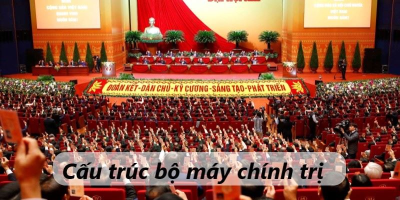vai trò chính trị là gì