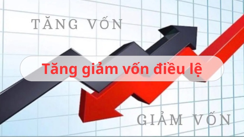vốn điều lệ công ty tnhh
