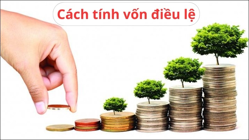 vốn điều lệ
