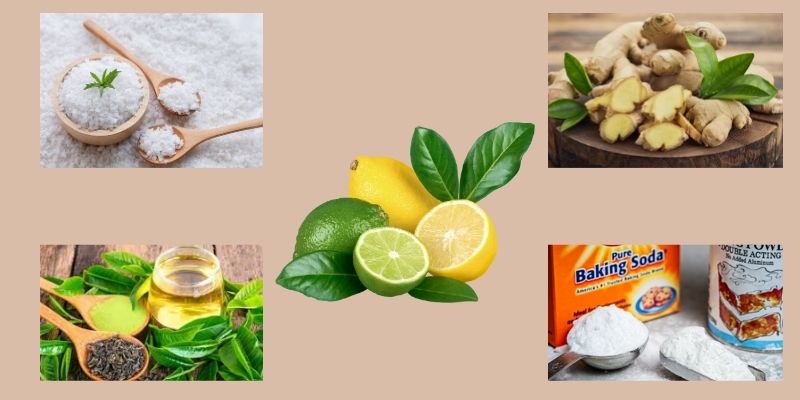 cách chữa hôi miệng bằng lá chanh kết hợp nguyên liệu khác