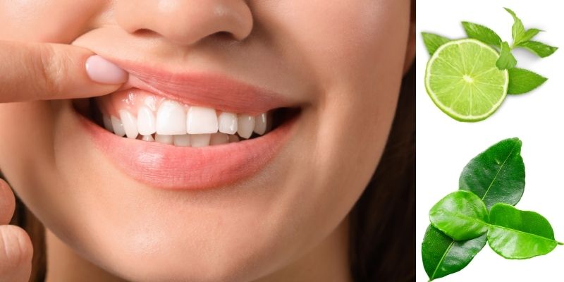 cách chữa hôi miệng bằng lá chanh tươi