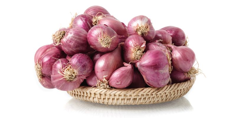 Cách chữa ong vàng đốt hết sưng nhanh