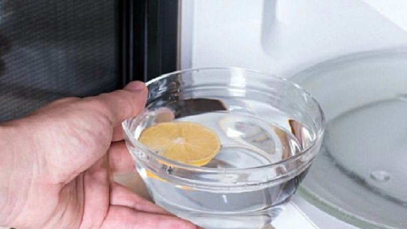 cách đuổi kiến bằng giấm