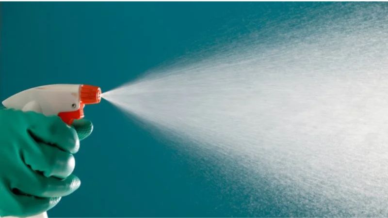 cách đuổi kiến tự nhiên