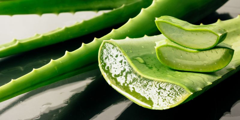 chữa mụn cóc bằng nha đam
