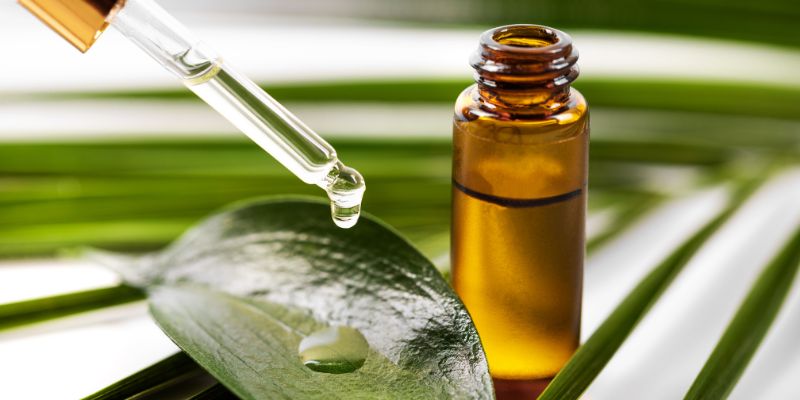 chữa mụn cóc bằng tinh dầu cây chè