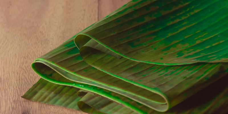 chữa ong vàng đốt bằng lá chuối