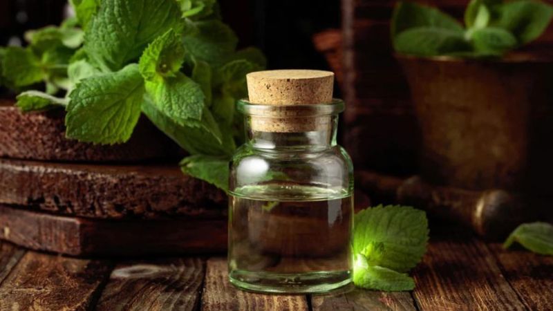tinh dầu đuổi ruồi
